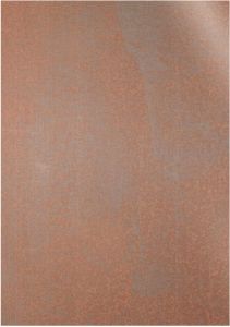 Tarnish Metallic Aged Copper ACP Panel