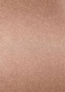 Tarnish Metallic Elegant Copper ACP Panel