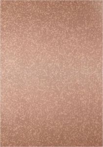 Tarnish Metallic Elegant Copper ACP Panel