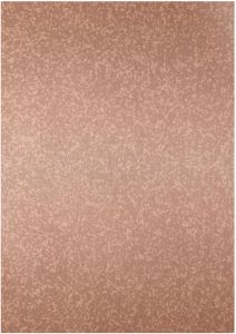 Tarnish Metallic Elegant Copper ACP Panel