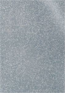 Tarnish Metallic Elegant Steel ACP Panel