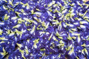 Organic Dried Butterfly Pea Flower