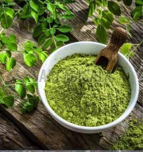 Dried Moringa Powder