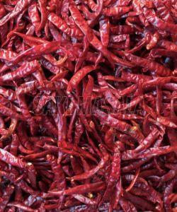 Dry Teja Red Chilli