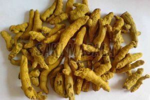 Polished Turmeric Finger