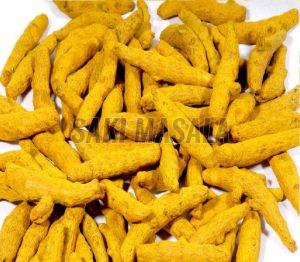 Rajapuri Turmeric Finger
