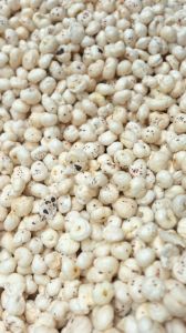 Premium Makhana