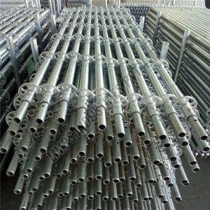 Ringlock Vertical Standard