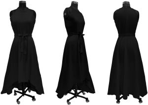 Ladies Black Sleeveless High Low Party Dress