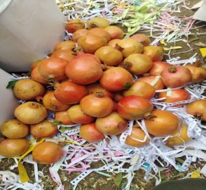 Fresh Pomegranate