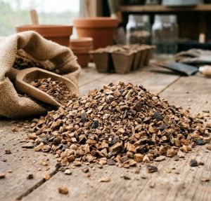 Brown Coconut Shell Grit