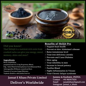 Himalayan Pro Gold Shilajit