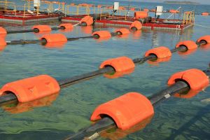 130mm Dredging Floater