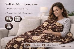 Cannes Flannel AC Blanket With 2 Pillow Covers