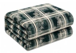 Gulliver Teal Green Bed Printed Flannel AC Blanket