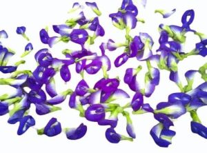 Freeze Dried Butterfly Pea Flower