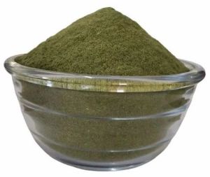 Freeze Dried Coriander Powder