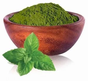 Freeze Dried Mint Powder
