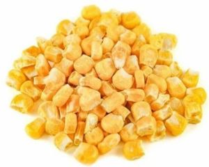 Freeze Dried Sweet Corn
