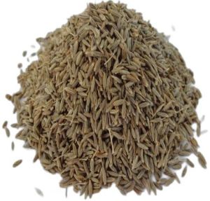 Europe Quality Cumin Seeds