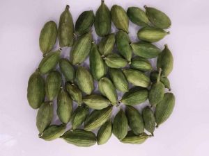 8 Plus Green Cardamom