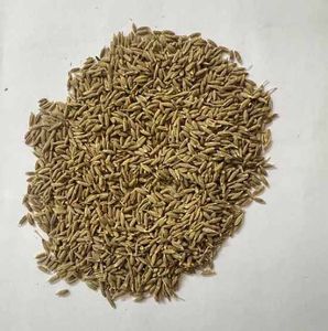 Whole Carom Seed