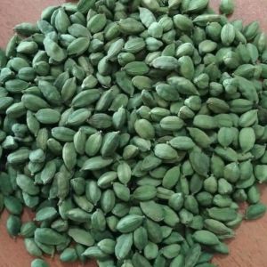 7mm Green Cardamom