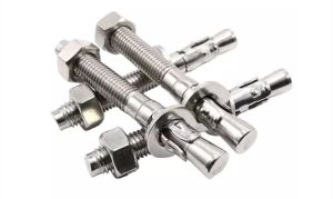 Stainless Steel Wedge Type Anchor Fastener