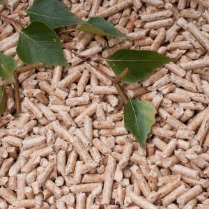 Carbon Neutral Pine Biomass Pellets