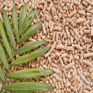 Virgin Pine Wood Biomass Pellets