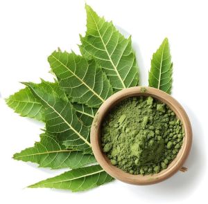 Dried Neem Powder