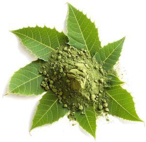 Fine Neem Powder