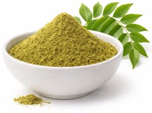 Indian Curry Leaves Powder