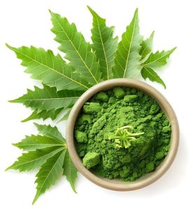 Natural Neem Powder