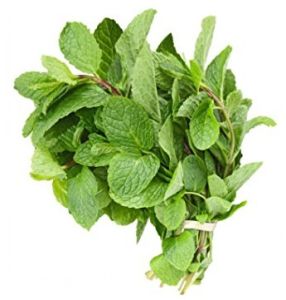 Aromatic Fresh Mint Leaves