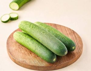 Farm Fresh Cucumber
