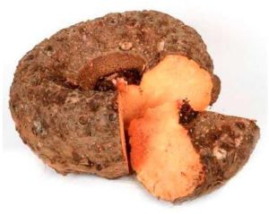 Farm Fresh Elephant Foot Yam