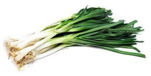 Farm Fresh Green Garlic