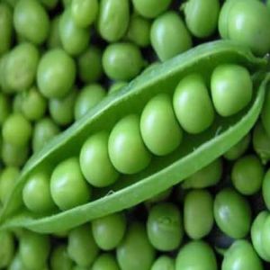 Farm Fresh Green Peas