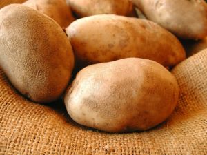 Farm Fresh Premium Potato