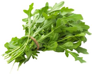 Fresh Arugula Leaves