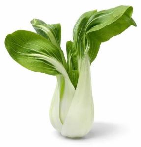 Fresh Bok Choy