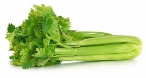 Fresh Green Celery