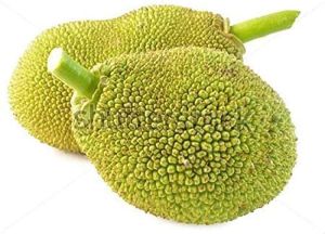 Fresh Jackfruit