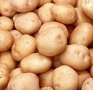 Fresh Kufri Bahar Potato