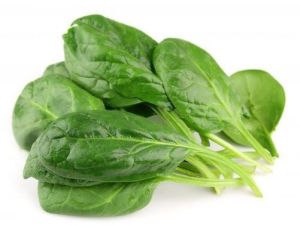 Fresh Malabar Spinach