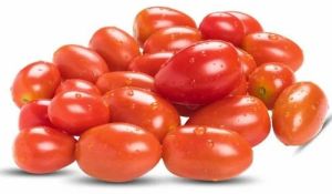 Fresh Red Oval Tomato