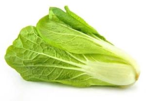 Fresh Romaine Lettuce