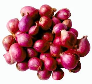 Fresh Small Pearl Onion
