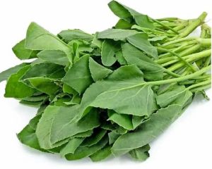 Fresh Sorrel Leaves